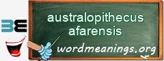 WordMeaning blackboard for australopithecus afarensis